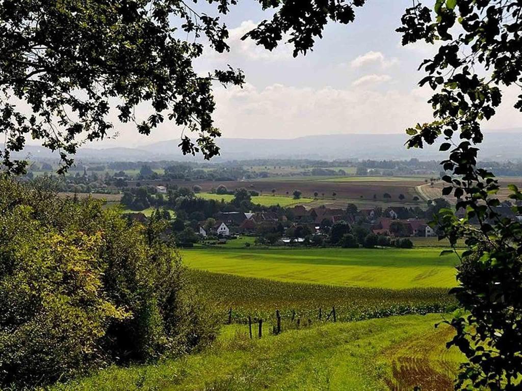 Hessisch Oldendorf Hotel Weinschanke Rohdental מראה חיצוני תמונה